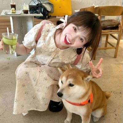 真爱的风采